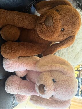 Soft Plush Puppy Duo - Pink and Brown Cuddly Stuffed Dogs